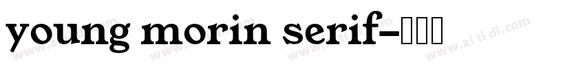 young morin serif字体转换